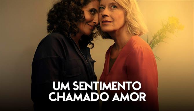 Um Sentimento Chamado Amor