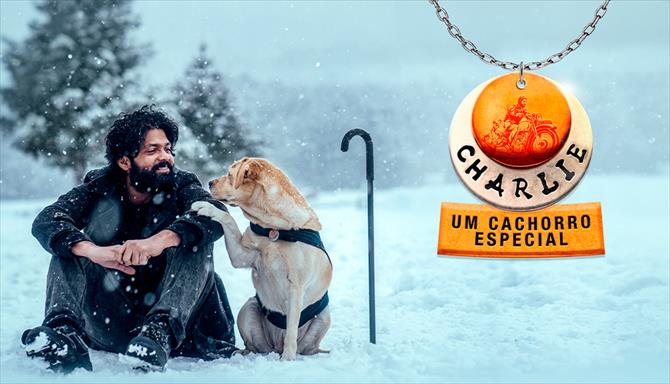 Charlie: Um Cachorro Especial