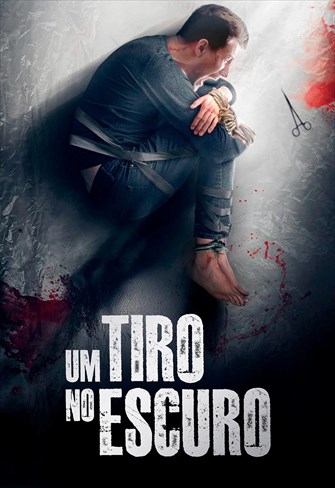 Um Tiro no Escuro