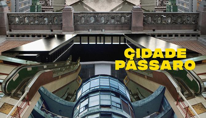 Cidade Pássaro