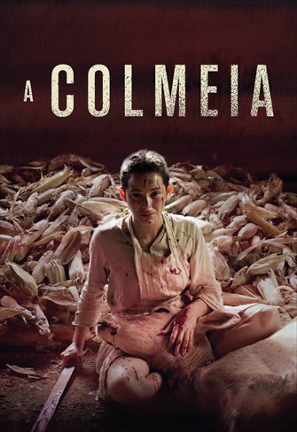 A Colmeia
