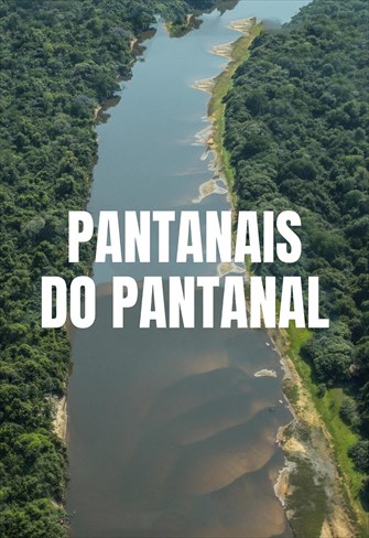 Pantanais do Pantanal