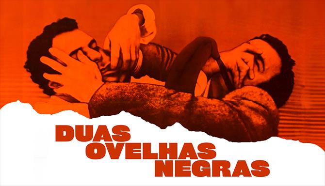 Duas Ovelhas Negras